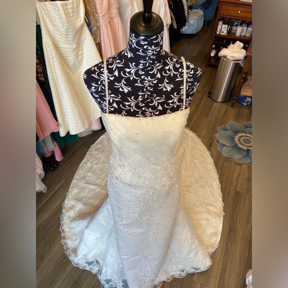 Anjolique Wedding Gown - Picture 5 of 11